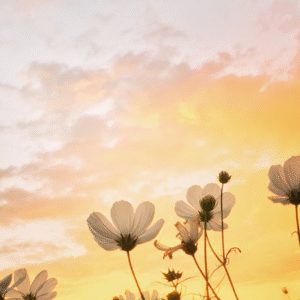 🌸 Spring Refresh: How to Organize Your Study Space for Success